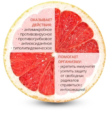 grapefruit_image
